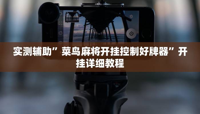 实测辅助”阳光岛牌乐汇开挂神器软件下载(透视)辅助软件教程