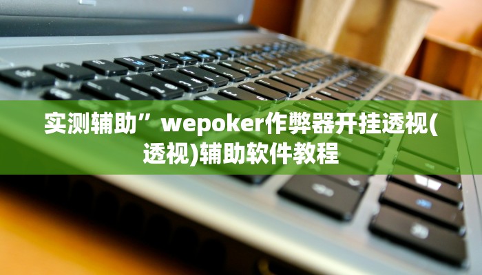 实测辅助”wepoker作弊器开挂透视(透视)辅助软件教程