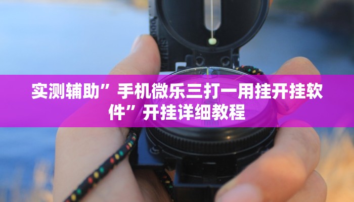 实测辅助”博乐填大坑可以开挂吗(透视)辅助软件教程