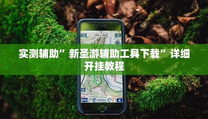 实测辅助”风风棋牌通用挂(透视)辅助软件教程