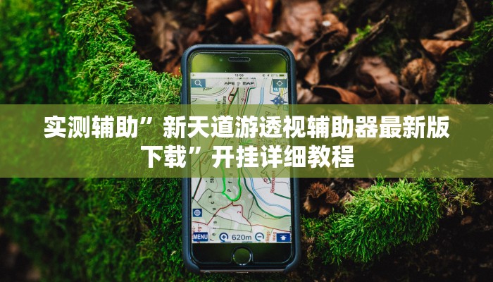 实测辅助”闲来安徽麻将可以开挂吗”其实确实有挂