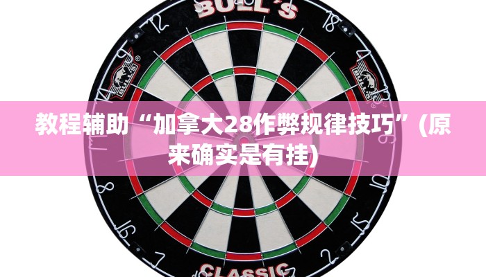 教程辅助“加拿大28作弊规律技巧”(原来确实是有挂)