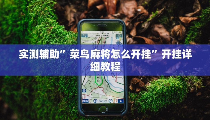 实测辅助”菜鸟麻将怎么开挂”开挂详细教程