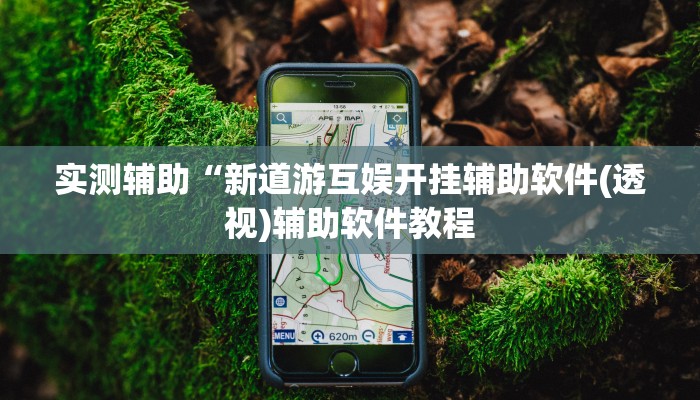 实测辅助”新老夫子拼三张可以开挂吗(透视)辅助软件教程