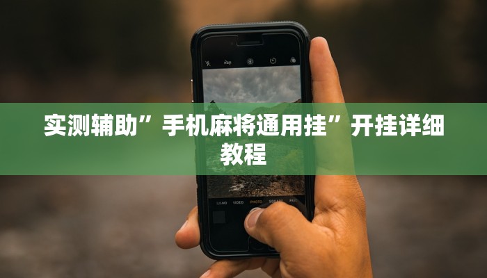 实测辅助”青鸟大厅拼十用挂开挂软件(透视)辅助软件教程