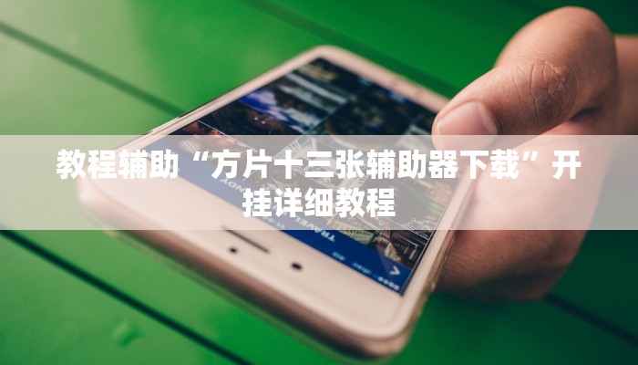 教程辅助“方片十三张辅助器下载”开挂详细教程