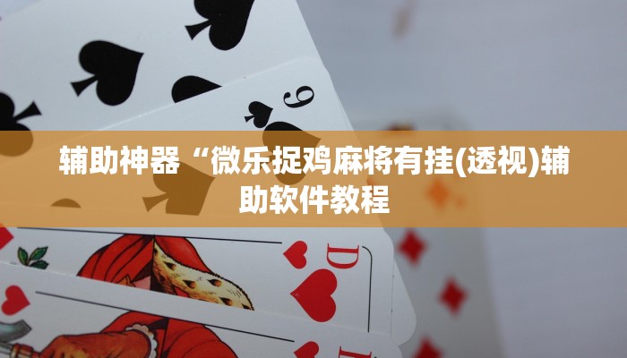 实测辅助”方片十三张开挂教程(透视)辅助软件教程