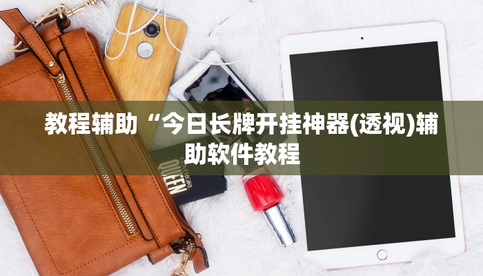 实测辅助“wepoker辅助器透视下载”开挂详细教程