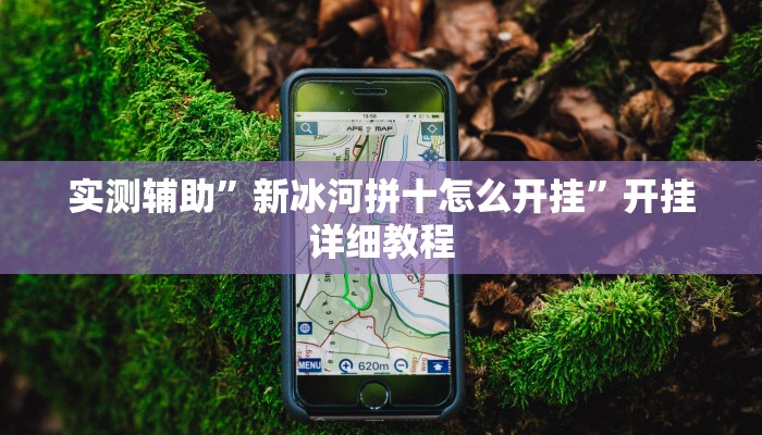 实测辅助”新冰河拼十怎么开挂”开挂详细教程