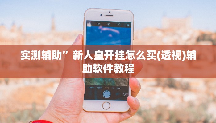 实测辅助”新人皇开挂怎么买(透视)辅助软件教程