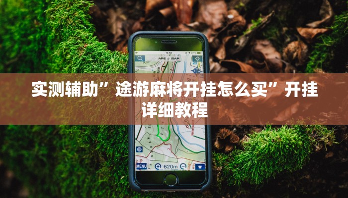 辅助神器“衢州麻将开挂辅助神器(透视)辅助软件教程