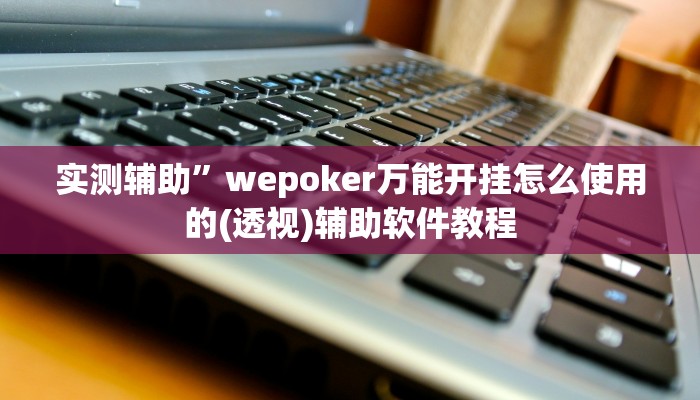 实测辅助”wepoker万能开挂怎么使用的(透视)辅助软件教程