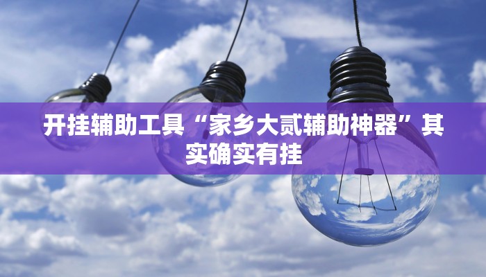 开挂辅助工具“家乡大贰辅助神器”其实确实有挂