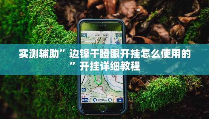 实测辅助”边锋干瞪眼开挂怎么使用的”开挂详细教程