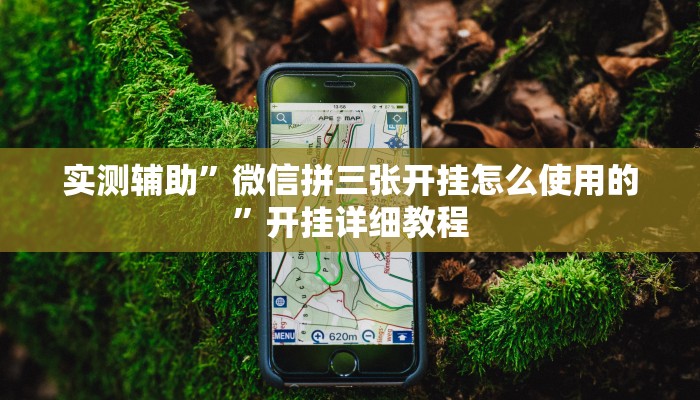 辅助神器“功夫川麻小程序万能开挂器”其实确实有挂