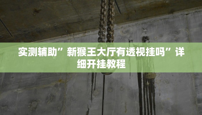 开挂辅助工具“微乐陕西三代挂开挂”详细开挂教程