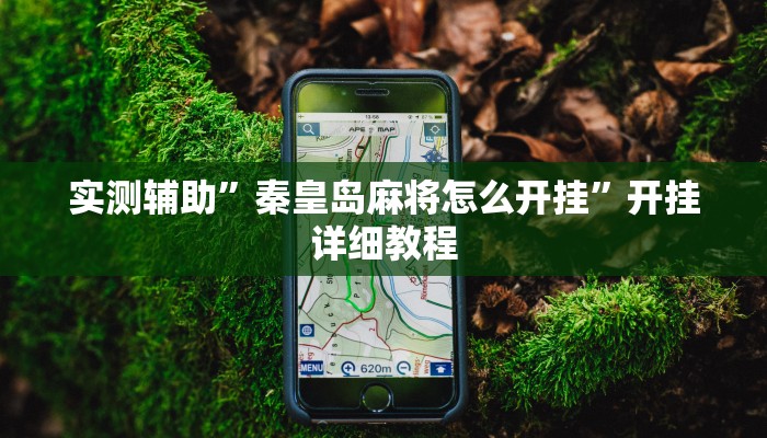 实测辅助”秦皇岛麻将怎么开挂”开挂详细教程