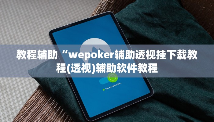 教程辅助“wepoker辅助透视挂下载教程(透视)辅助软件教程