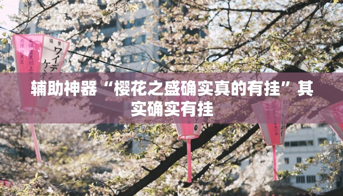辅助神器“皮皮云南麻将开挂神器”其实确实有挂
