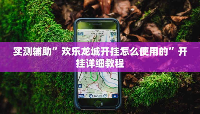 实测辅助”欢乐龙城开挂怎么使用的”开挂详细教程