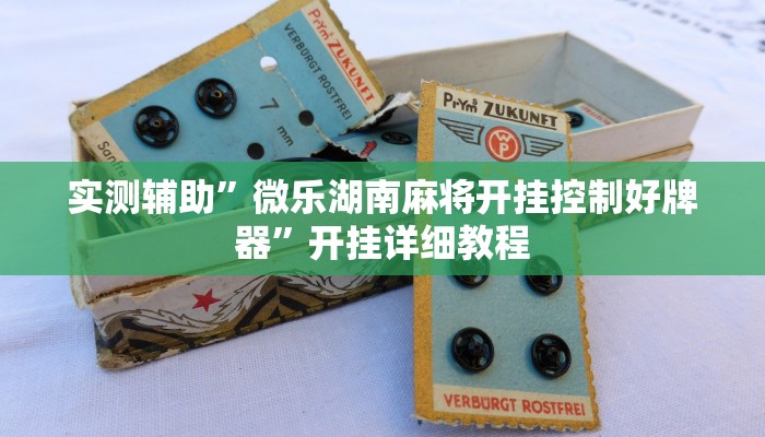 实测辅助”鸿运十三张用挂开挂软件”开挂详细教程