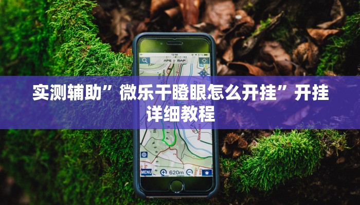 实测辅助”微乐干瞪眼怎么开挂”开挂详细教程