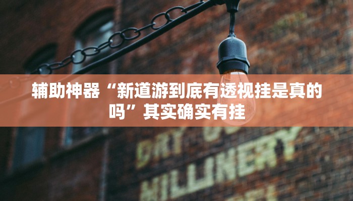 辅助神器“新道游到底有透视挂是真的吗”其实确实有挂