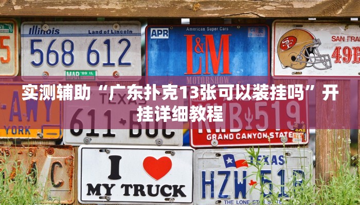 实测辅助“广东扑克13张可以装挂吗”开挂详细教程