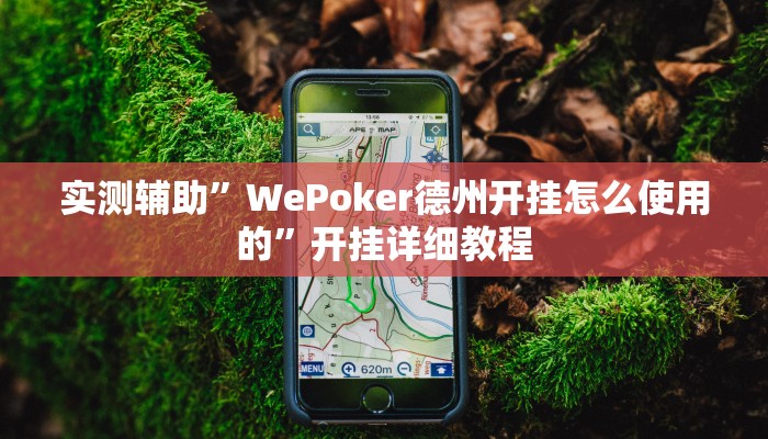 实测辅助”WePoker德州开挂怎么使用的”开挂详细教程