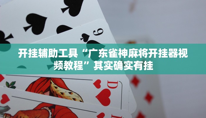 开挂辅助工具“广东雀神麻将开挂器视频教程”其实确实有挂