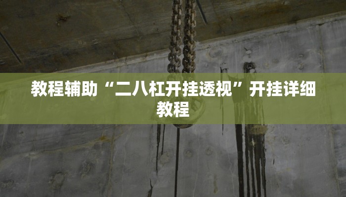 教程辅助“二八杠开挂透视”开挂详细教程