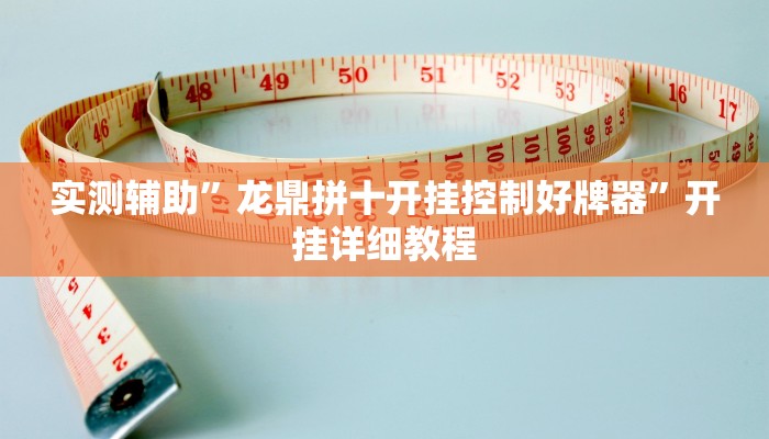 实测辅助”龙鼎拼十开挂控制好牌器”开挂详细教程