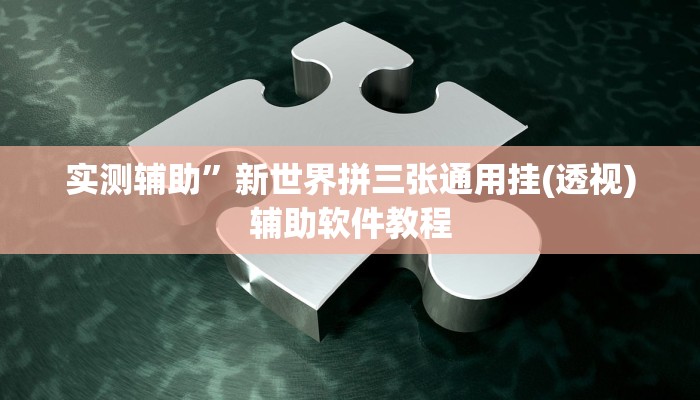 实测辅助”新世界拼三张通用挂(透视)辅助软件教程