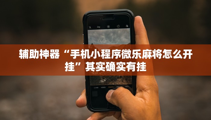 辅助神器“手机小程序微乐麻将怎么开挂”其实确实有挂