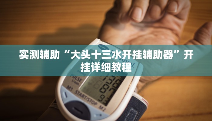 实测辅助“大头十三水开挂辅助器”开挂详细教程