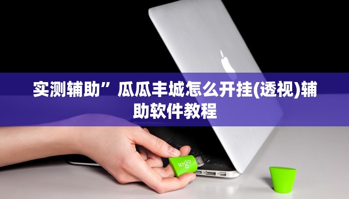 实测辅助”瓜瓜丰城怎么开挂(透视)辅助软件教程