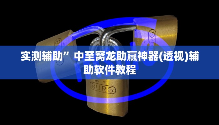 实测辅助”中至窝龙助赢神器(透视)辅助软件教程