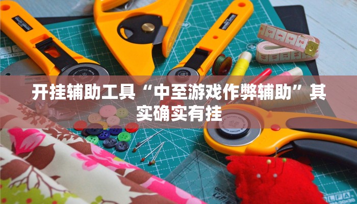 实测辅助”国搜棋牌用挂开挂软件”开挂详细教程