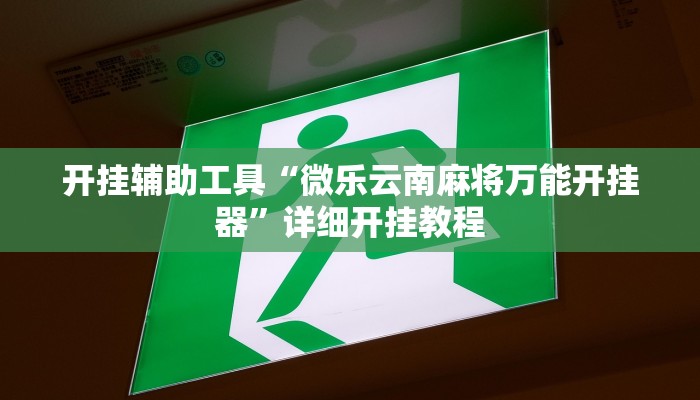 开挂辅助工具“微乐云南麻将万能开挂器”详细开挂教程