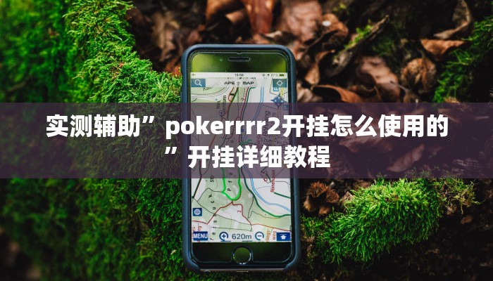 实测辅助”pokerrrr2开挂怎么使用的”开挂详细教程