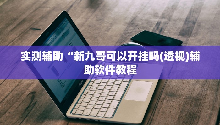 教程辅助“荔浦联盟透视辅助器(透视)辅助软件教程