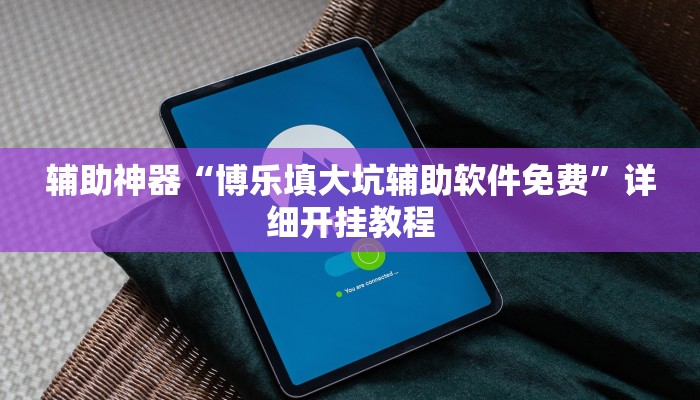 辅助神器“博乐填大坑辅助软件免费”详细开挂教程