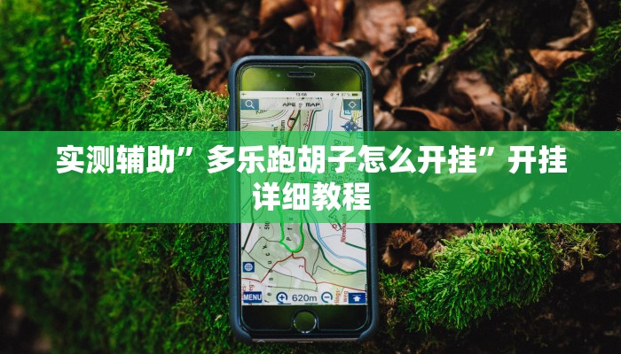 实测辅助”多乐跑胡子怎么开挂”开挂详细教程