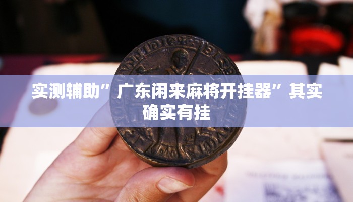 实测辅助”广东闲来麻将开挂器”其实确实有挂