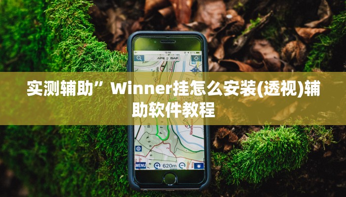 实测辅助”Winner挂怎么安装(透视)辅助软件教程