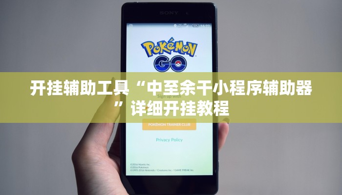 开挂辅助工具“中至余干小程序辅助器”详细开挂教程