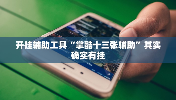 开挂辅助工具“掌酷十三张辅助”其实确实有挂