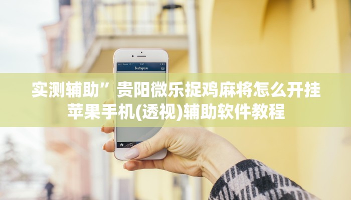 实测辅助”贵阳微乐捉鸡麻将怎么开挂苹果手机(透视)辅助软件教程