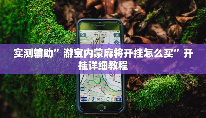 实测辅助”游宝内蒙麻将开挂怎么买”开挂详细教程