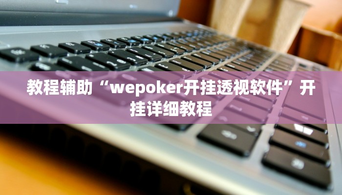 教程辅助“wepoker开挂透视软件”开挂详细教程
